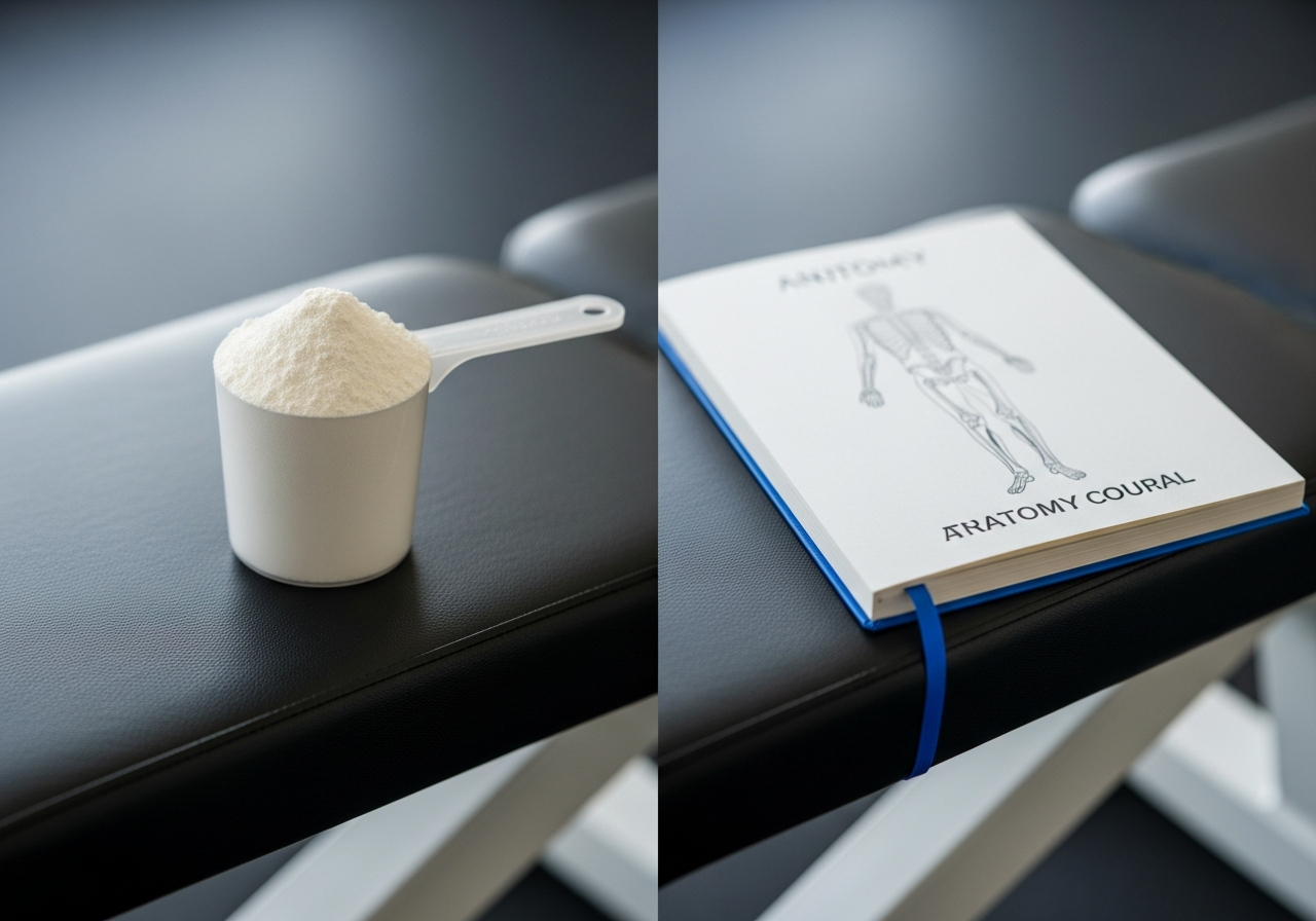 Creatine vs. anabolic steroids: the mechanism, results, and risks are completely different
